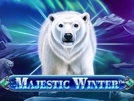 Majestic Winter game screenshot