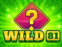Wild 81 game screenshot